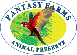 Fantasy Farms