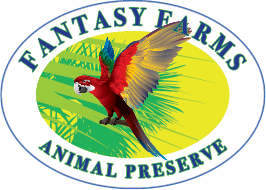 Fantasy Farms